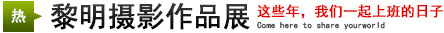 攝影展：這些年，我們一起上班的日子
